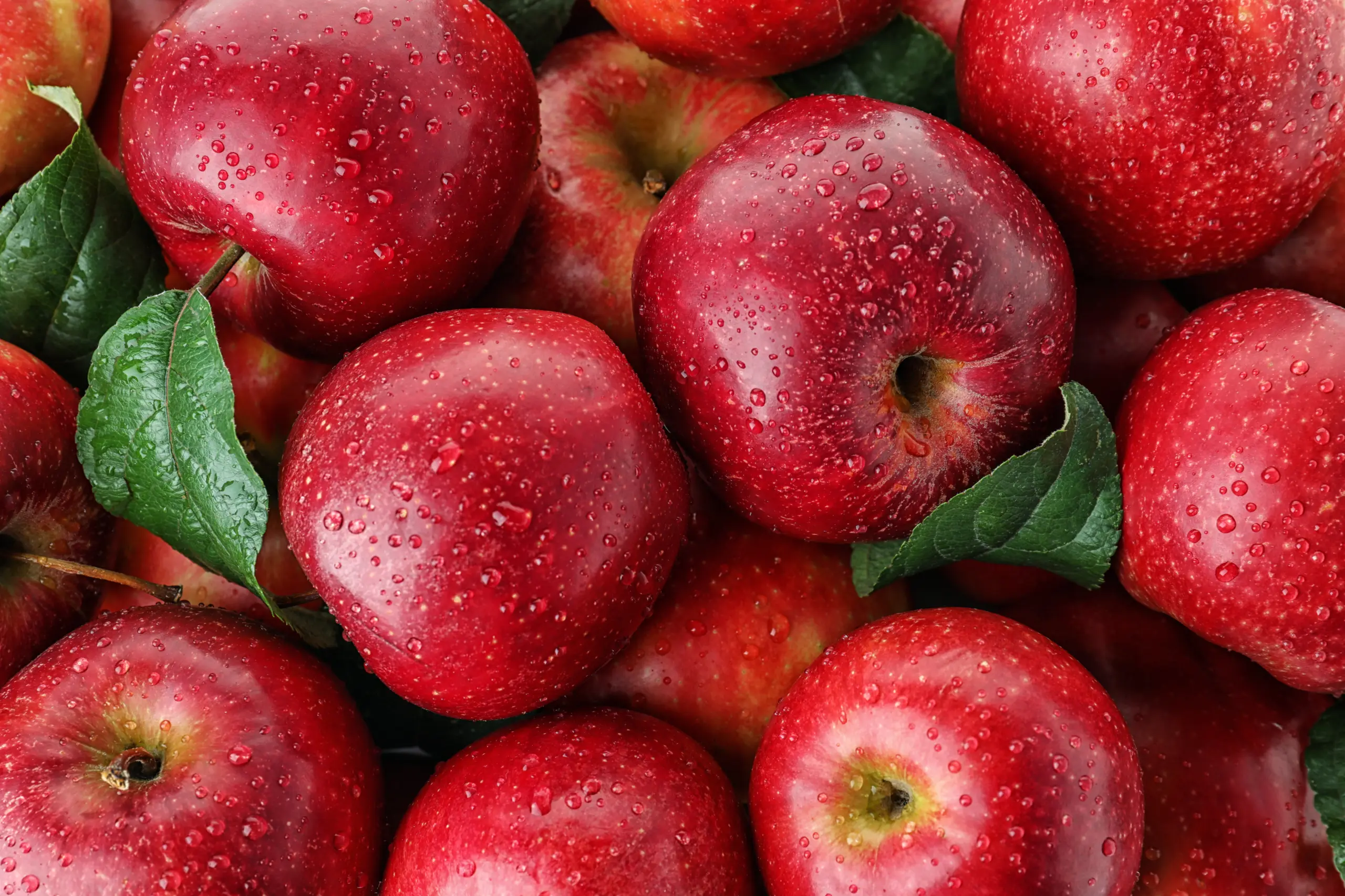 Hosh International can provide apple fruit ingredients in nearly every format.