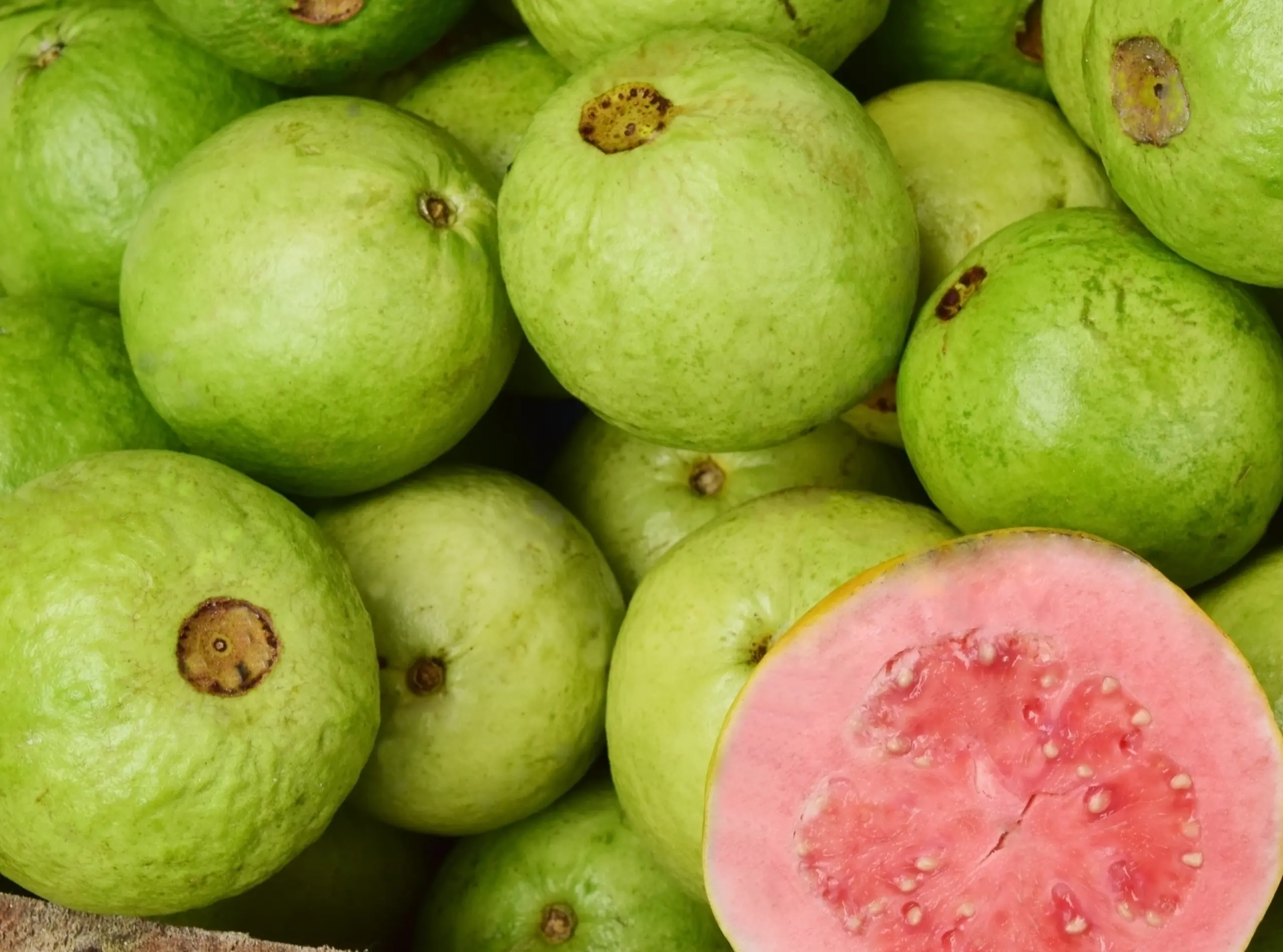 Guava Ingredients (2) Hosh International is global importer of various fruit products including Guava.