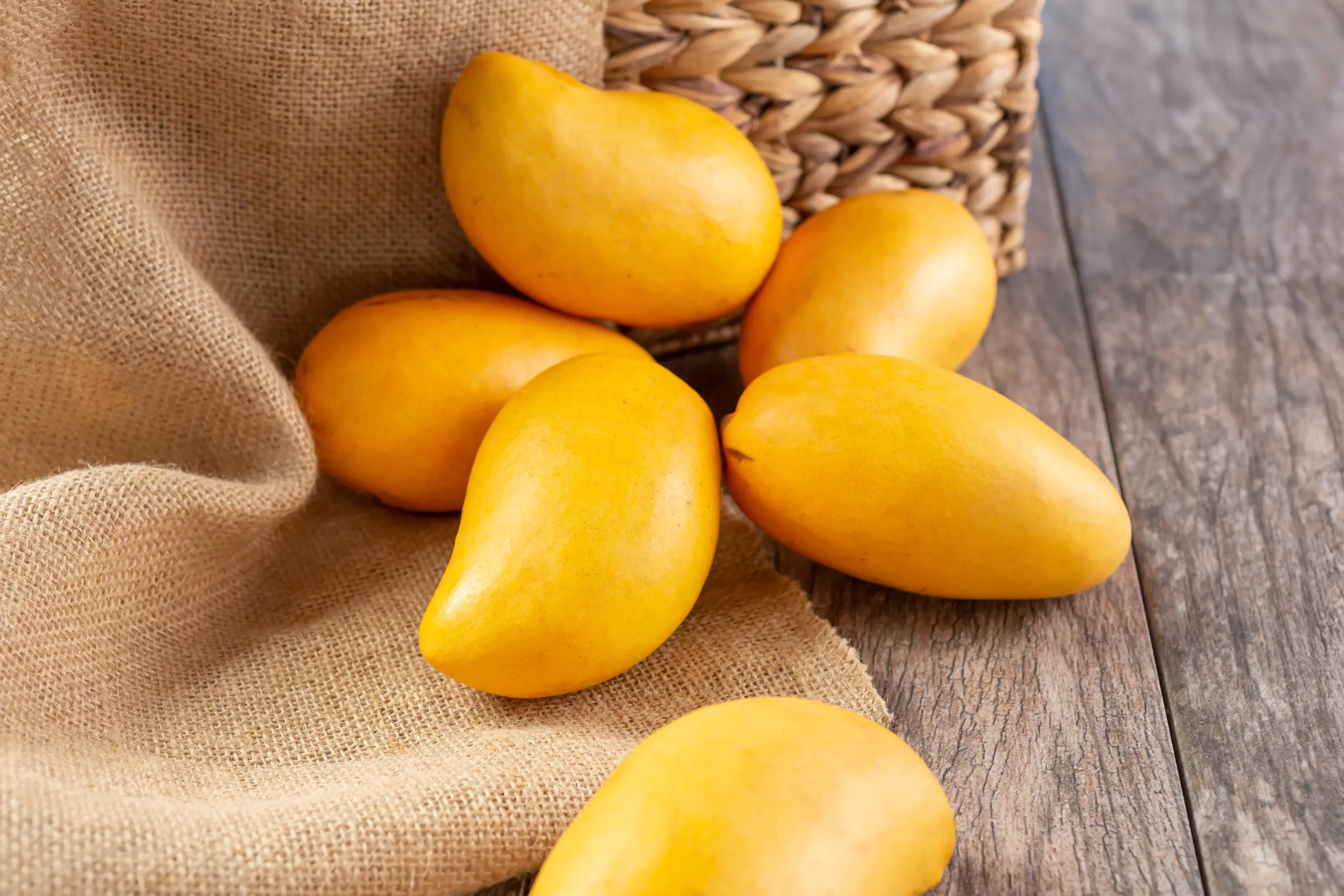 Mango Ingredients (1) Hosh International is your source for fruit ingredients like mango juice and puree.