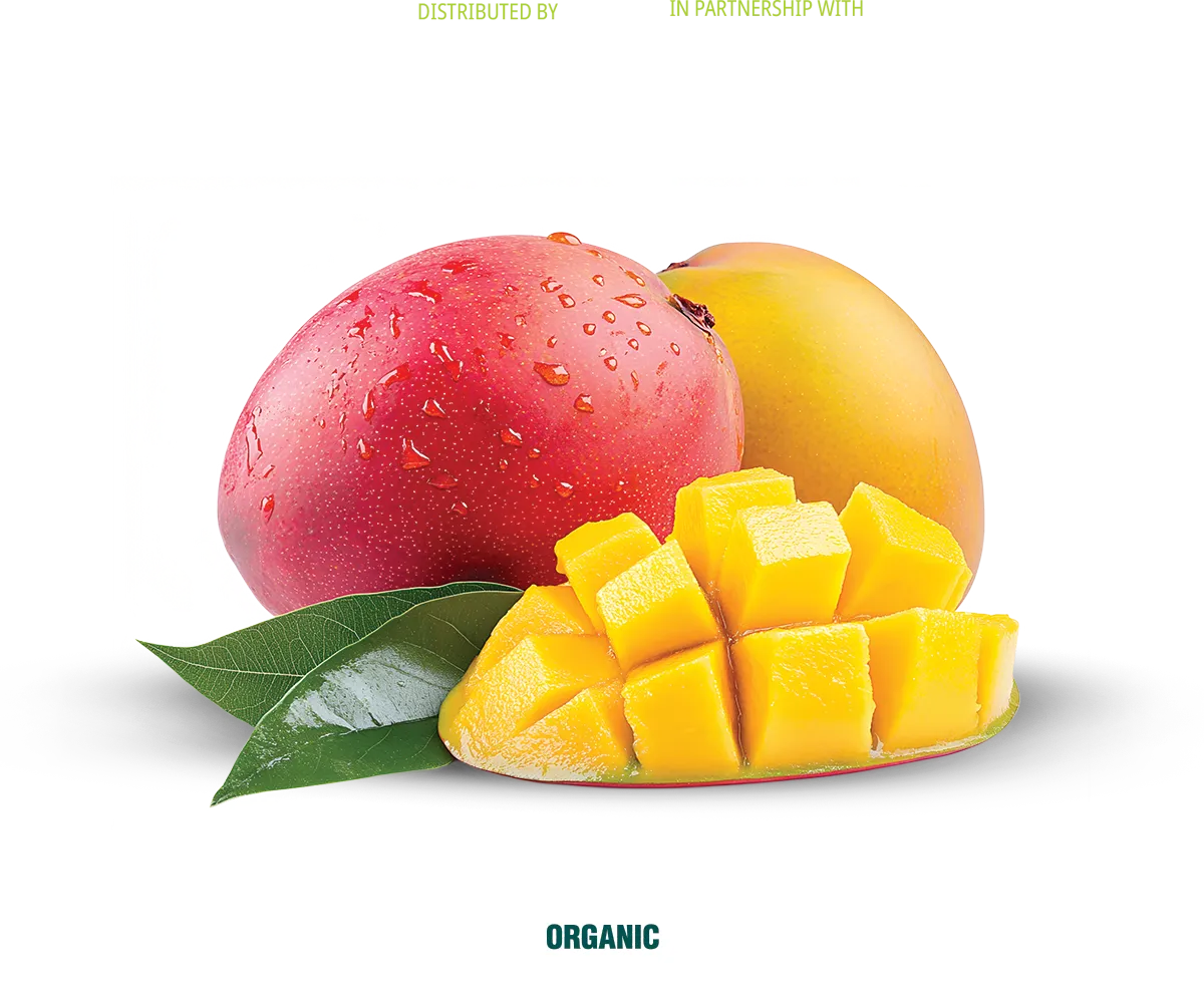 Mango-with-Logos-and-USDA-Organic As the exclusive provider of Magdalena River Mangos, Hosh International can assist you with all of your mango sourcing needs.
