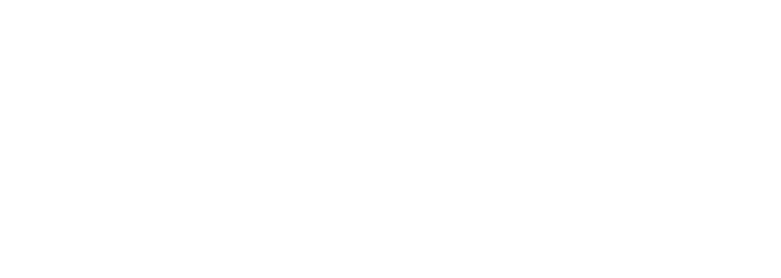 The new Brothers Ingredients logo in white.
