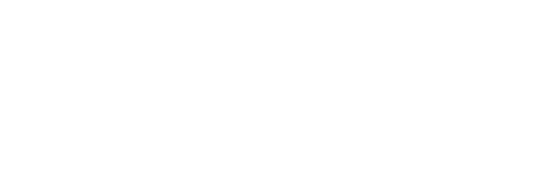 The new Dennick FruitSource logo in white.