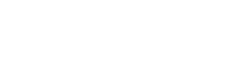 The new Hosh International logo in white.